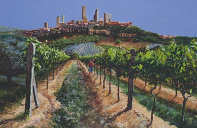 Grape Vines, San Gimignano, Tuscany by Trevor Neal